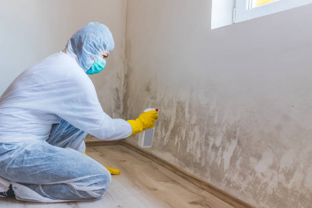 Commercial Mold Remediation assessment for commercial property in Millersville